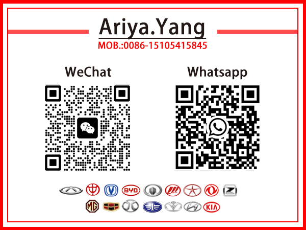 Shandong Victory Car Parts Technology Co.,Ltd Shandong Victory Car Parts Technology Co.,Ltd